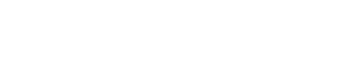 Constelor Investment Holdings