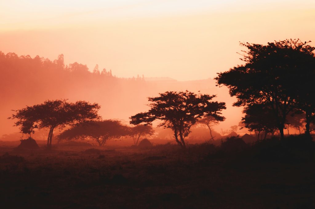 The Africa Briefing: autumn 2026